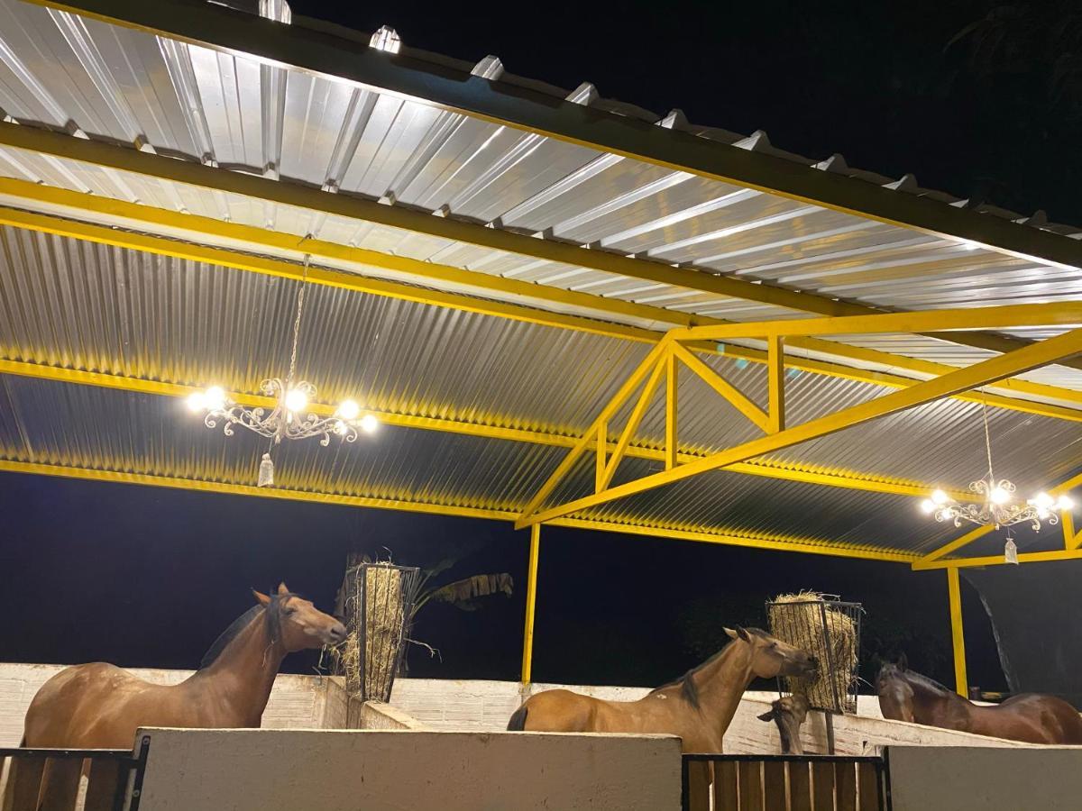 Hospedaje Rancho Guadalupe La Suiza Ngoại thất bức ảnh